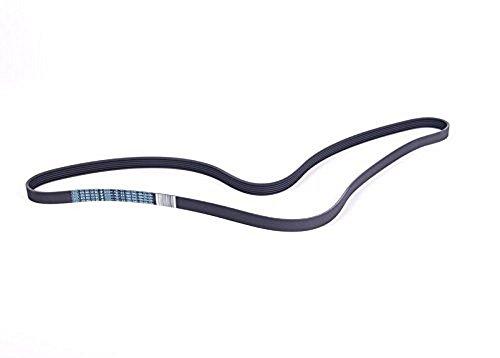 Algopix Similar Product 2 - Volkswagen 078 903 137 BC Serpentine