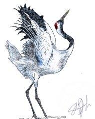 Algopix Similar Product 18 - Wandering Crane Blank Notecards