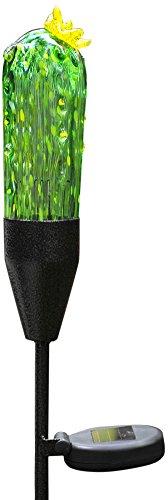 Algopix Similar Product 5 - Coloriscape Firefly Solar Cactus
