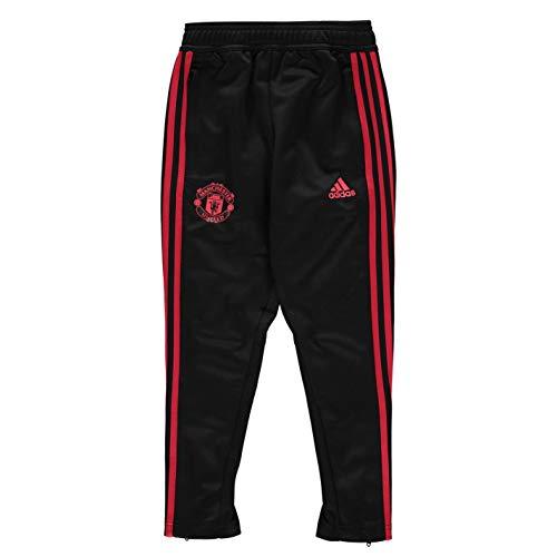 Algopix Similar Product 7 - adidas 20182019 Man Utd Training Pants