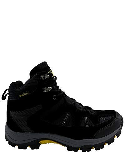 Algopix Similar Product 3 - 