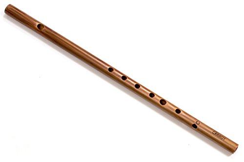 Algopix Similar Product 11 - Carrotmusic Model DS101 C Beginner