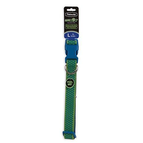 Algopix Similar Product 14 - Petmate GID Easy to Clean Green Grid