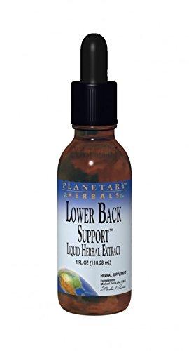 Algopix Similar Product 11 - PLANETARY HERBALS Lower Back Support