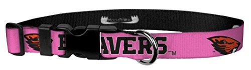 Algopix Similar Product 4 - Moose Pet Wear Dog Collar  Oregon