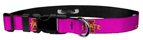 Algopix Similar Product 8 - Moose Pet Wear Iowa State Logo on Pink