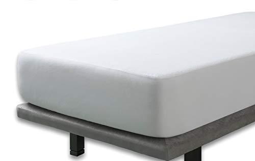 Algopix Similar Product 3 - 