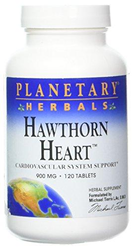 Algopix Similar Product 16 - Hawthorn Heart Formula 120 Tablets