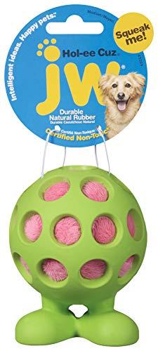 Algopix Similar Product 5 - JW Pet Company HolEe Cuz Medium Dog