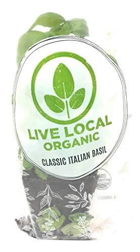 Algopix Similar Product 7 - Basil Living Organic, 1 Each