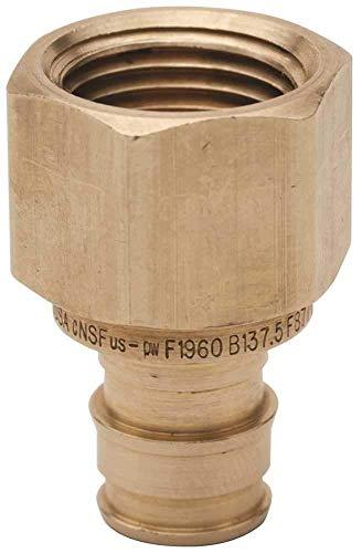 Algopix Similar Product 7 - TRIBAL GIDDS302402 34 x 1 Female