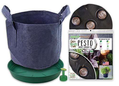 Algopix Similar Product 1 - Seedsheet Grow Your Own Basil Bucket