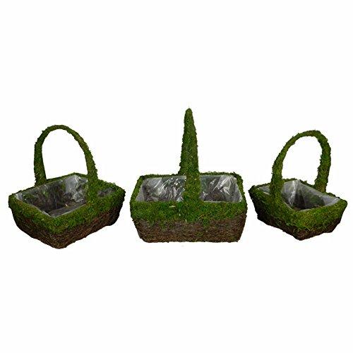 Algopix Similar Product 2 - Benzara Nature Inspired 3Piece Moss and
