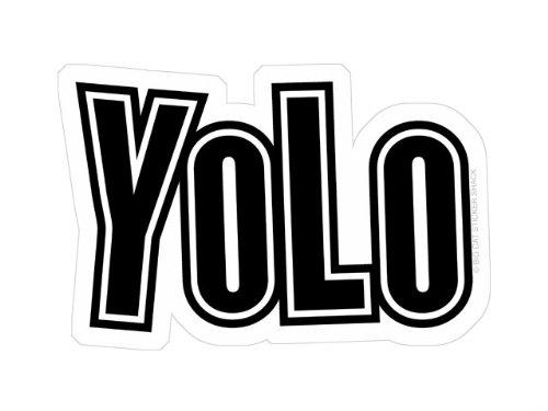 Algopix Similar Product 18 - YOLO (Bumper Sticker)