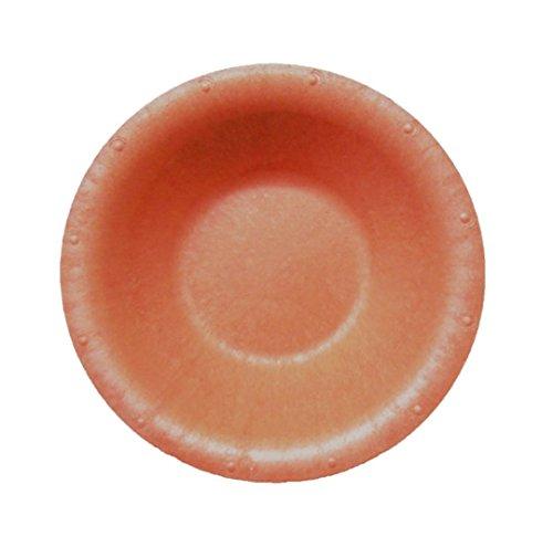 Algopix Similar Product 12 - Blueware Compostable Bowl 8 Pack 12