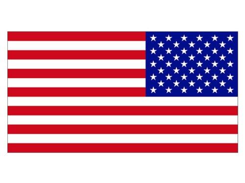 Algopix Similar Product 17 - American Flag REVERSE (Bumper Sticker)