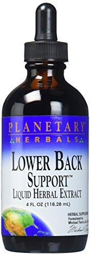 Algopix Similar Product 6 - PLANETARY HERBALS Lower Back Support