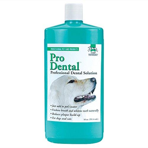 Algopix Similar Product 18 - Top Performance ProDental Solution 