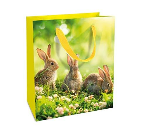 Algopix Similar Product 5 - Braun  Company_10260003 Lack Medium