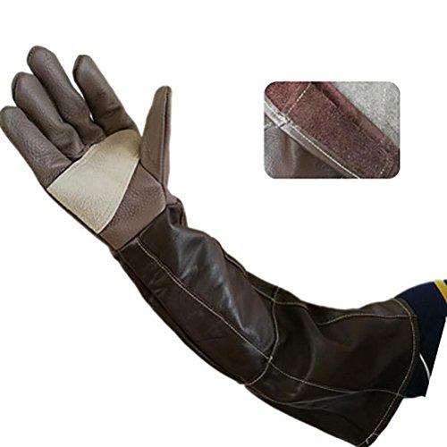 Algopix Similar Product 20 - DAN Animal Handling AntibiteScratch