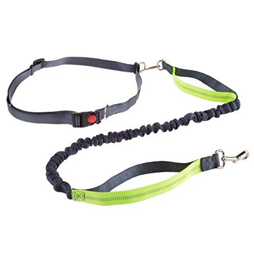 Algopix Similar Product 7 - PETMAKER HandsFree Dog LeashDual