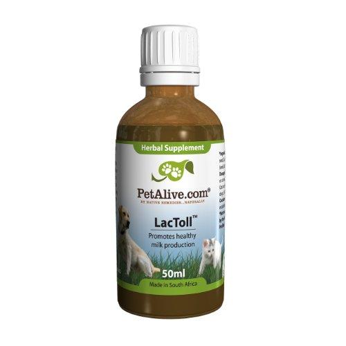 Algopix Similar Product 18 - PetAlive LacToll for Healthy Lactation
