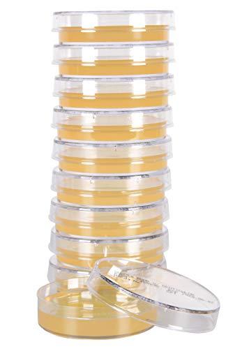 Algopix Similar Product 16 - Sabdex Sabouraud Dextrose Agar with