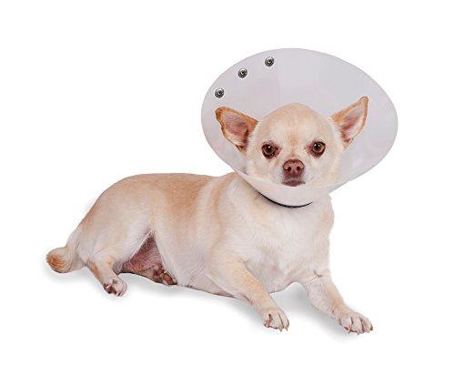 Algopix Similar Product 8 - KVP Recova Clear Pet Recovery Collar