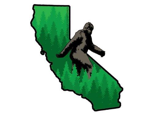 Algopix Similar Product 11 - California State Shape with Bigfoot