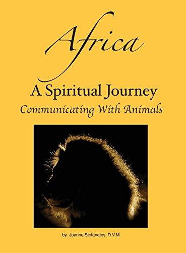 Algopix Similar Product 10 - Africa A Spiritual Journey