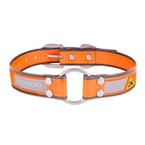 Algopix Similar Product 9 - 