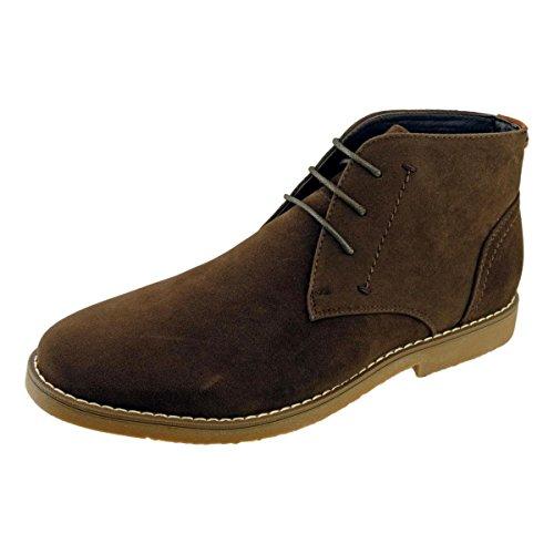 Algopix Similar Product 5 - 