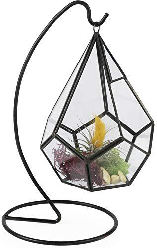 Algopix Similar Product 16 - Circleware 32501 Terraria Black