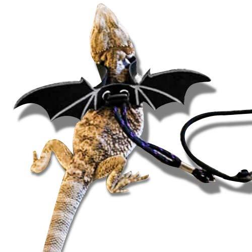 Algopix Similar Product 7 - WATFOON Comfort Reptile Harness with