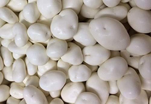 Algopix Similar Product 9 - OliveNation Yogurt Covered Raisins 80