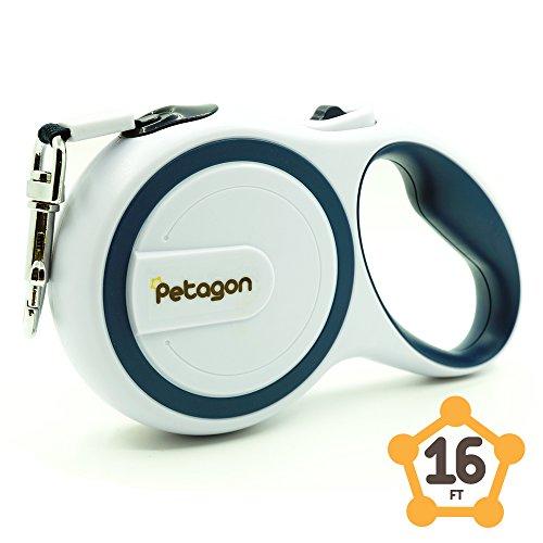 Algopix Similar Product 6 - 