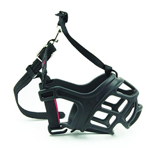 Algopix Similar Product 1 - 