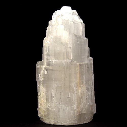 Algopix Similar Product 13 - Large 5lb 82 Selenite Crystal Lamp