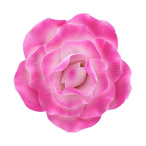 Algopix Similar Product 19 - Peony Rose White with Pink 4 Count by