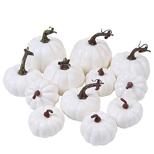 Algopix Similar Product 20 - URATOT 12 Pack Assorted Harvest White