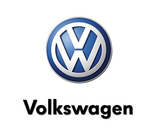 Algopix Similar Product 14 - Volkswagen 038 903 137 G Serpentine