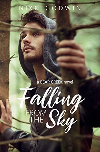 Algopix Similar Product 13 - Falling From The Sky