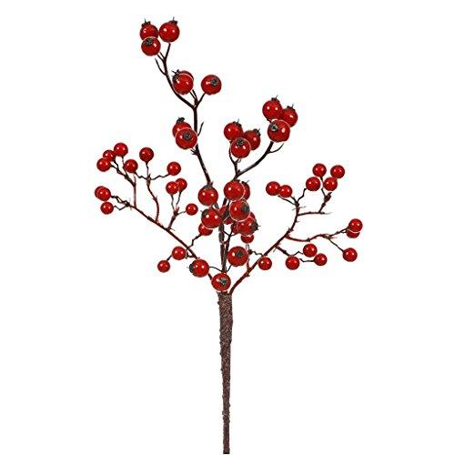 Algopix Similar Product 14 - 13" Red Mixed Berry Pick Outdoor