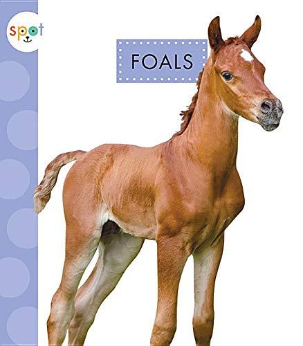 Algopix Similar Product 13 - Foals (Spot Baby Farm Animals)