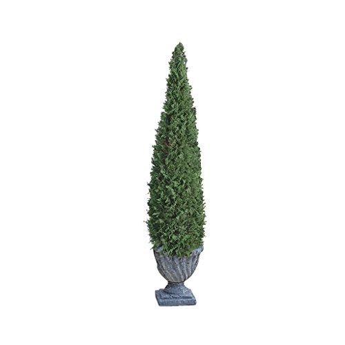 Algopix Similar Product 9 - Design Toscano The Topiary Tree