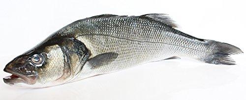 Algopix Similar Product 6 - Fresh Bronzino Whole Gutted