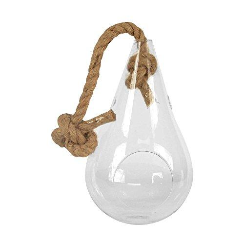 Algopix Similar Product 10 - Arcadia Garden Products Pear 7 in x 12