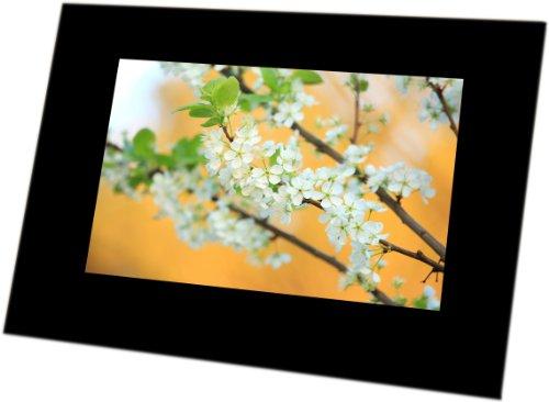Algopix Similar Product 13 - FOTO Frame 7POLLICI RIS.480X234