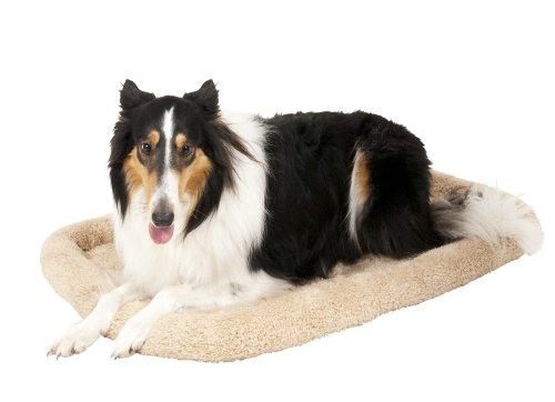 Algopix Similar Product 16 - Aspen Pet Bolster Style Kennel Mat,
