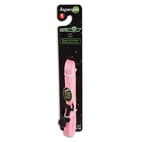 Algopix Similar Product 9 - Petmate Glowin Dark Leash 38 x 6